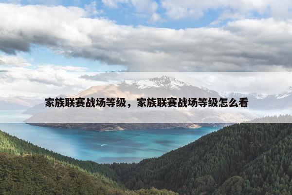 家族联赛战场等级，家族联赛战场等级怎么看