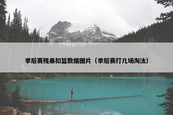 季后赛残暴扣篮数据图片（季后赛打几场淘汰）