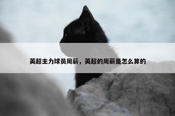 英超主力球员周薪，英超的周薪是怎么算的