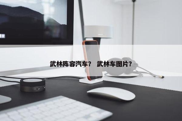 武林阵容汽车？ 武林车图片？