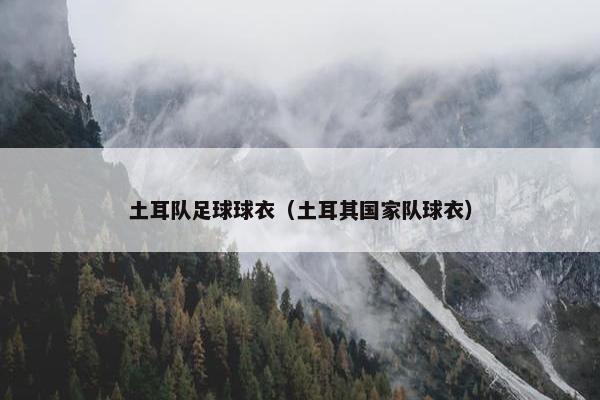 土耳队足球球衣（土耳其国家队球衣）