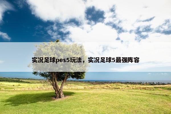 实况足球pes5玩法，实况足球5最强阵容