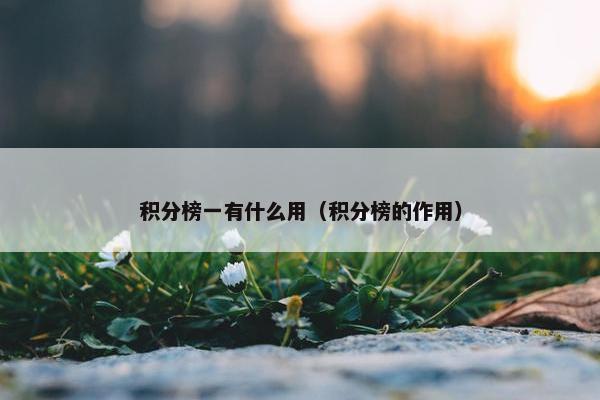 积分榜一有什么用（积分榜的作用）