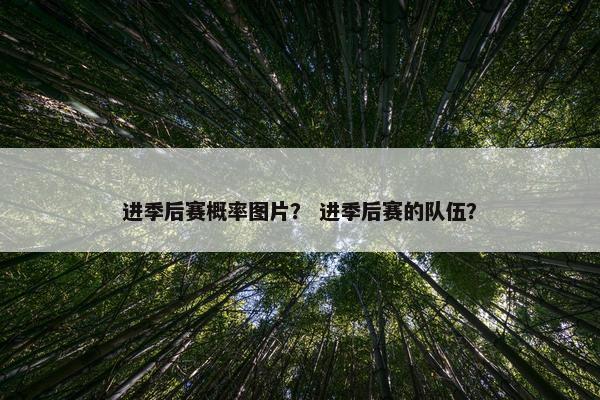 进季后赛概率图片？ 进季后赛的队伍？