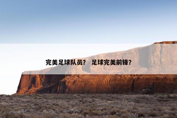 完美足球队员？ 足球完美前锋？