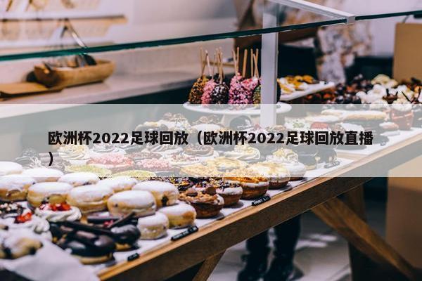 欧洲杯2022足球回放（欧洲杯2022足球回放直播）
