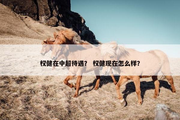 权健在中超待遇？ 权健现在怎么样？