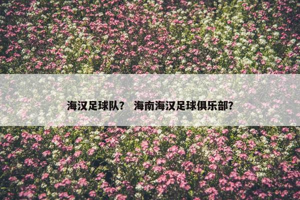海汉足球队？ 海南海汉足球俱乐部？