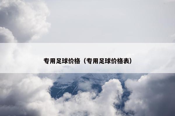 专用足球价格（专用足球价格表）