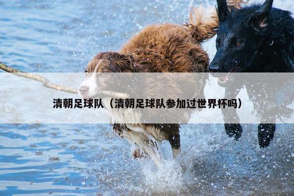 清朝足球队（清朝足球队参加过世界杯吗）