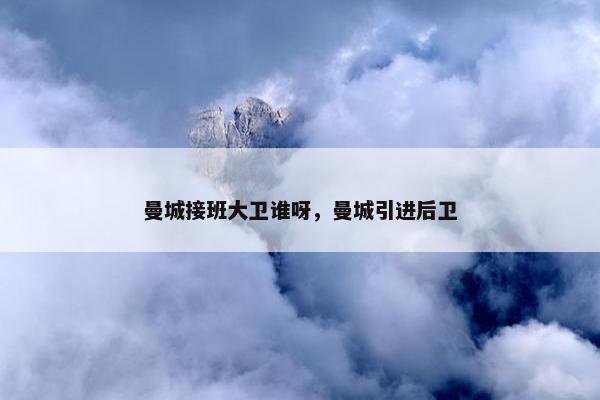 曼城接班大卫谁呀，曼城引进后卫
