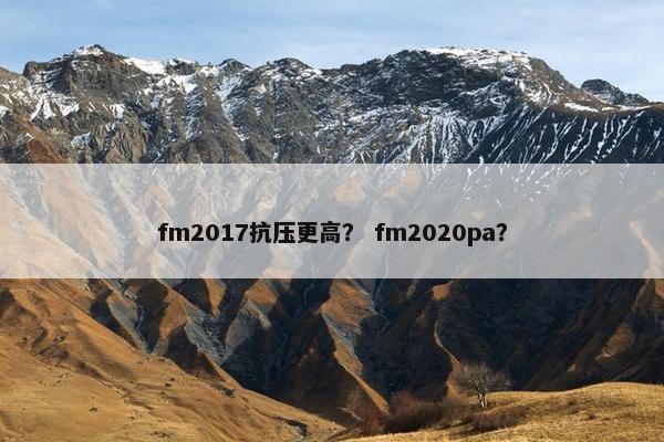 fm2017抗压更高？ fm2020pa？