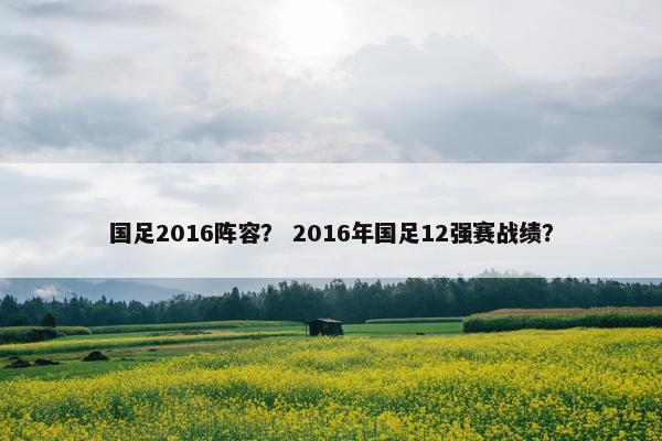国足2016阵容？ 2016年国足12强赛战绩？