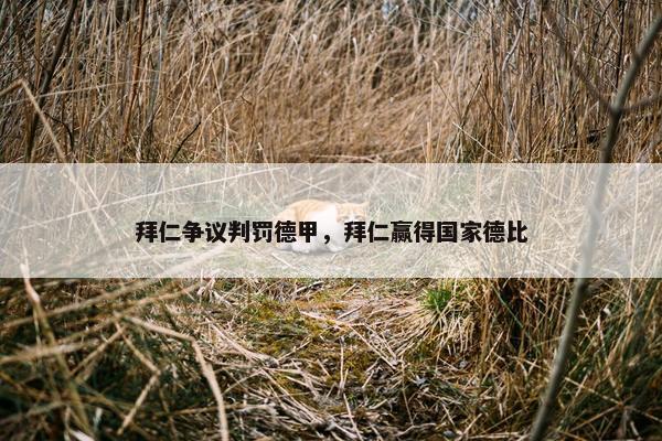 拜仁争议判罚德甲，拜仁赢得国家德比