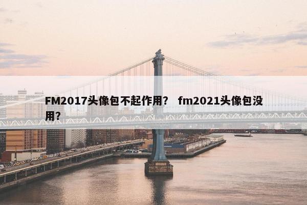 FM2017头像包不起作用？ fm2021头像包没用？