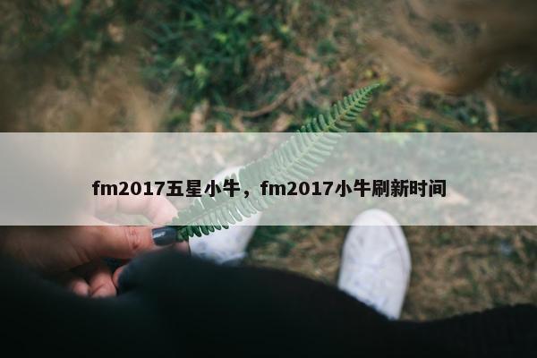 fm2017五星小牛，fm2017小牛刷新时间