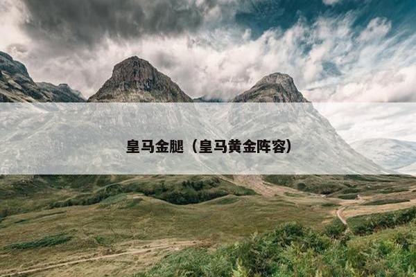 皇马金腿（皇马黄金阵容）