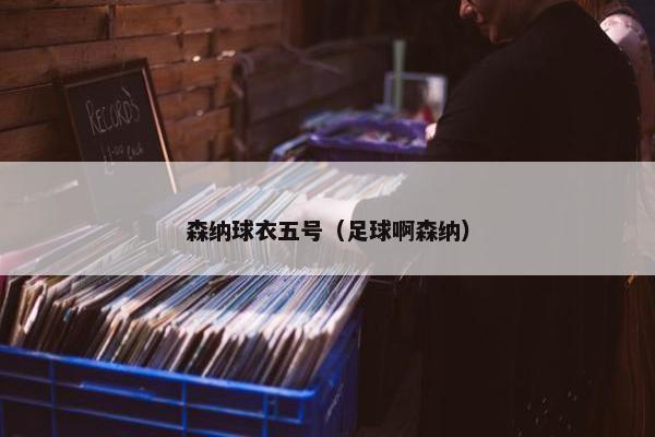 森纳球衣五号（足球啊森纳）