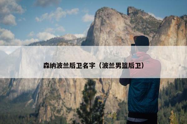 森纳波兰后卫名字（波兰男篮后卫）