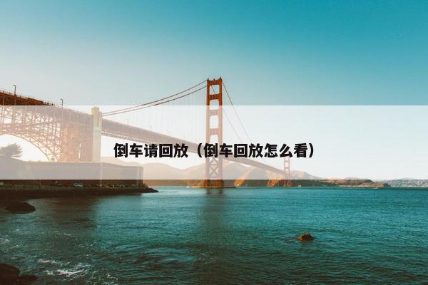 倒车请回放（倒车回放怎么看）