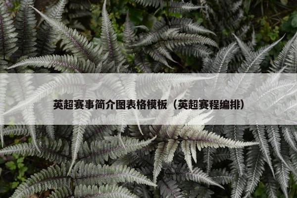 英超赛事简介图表格模板（英超赛程编排）