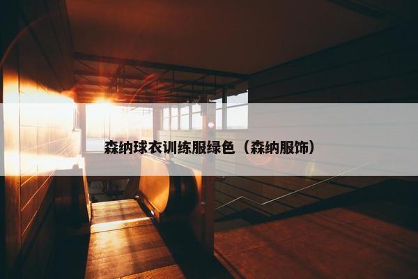 森纳球衣训练服绿色（森纳服饰）