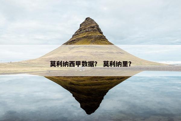 莫利纳西甲数据？ 莫利纳里？