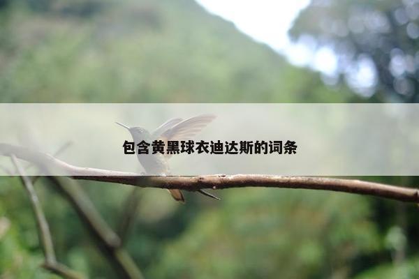 包含黄黑球衣迪达斯的词条