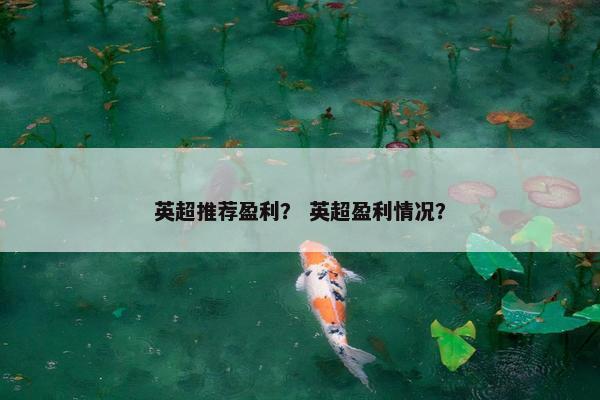 英超推荐盈利？ 英超盈利情况？