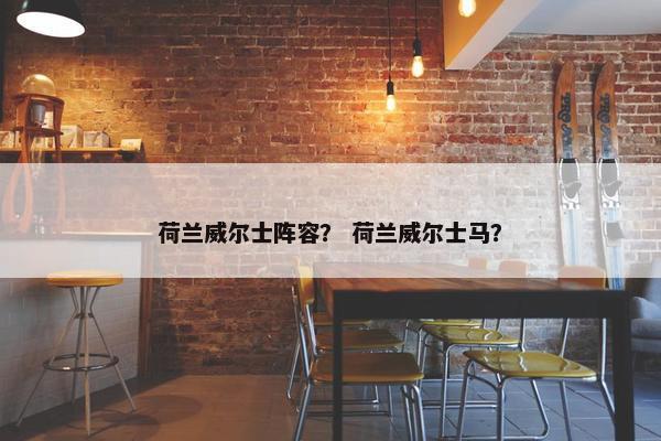 荷兰威尔士阵容？ 荷兰威尔士马？