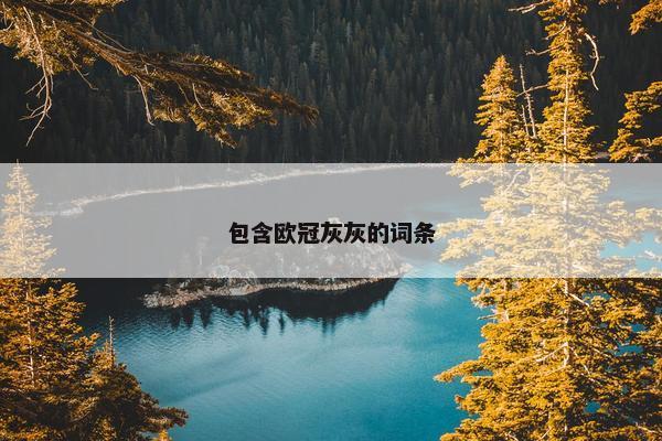 包含欧冠灰灰的词条