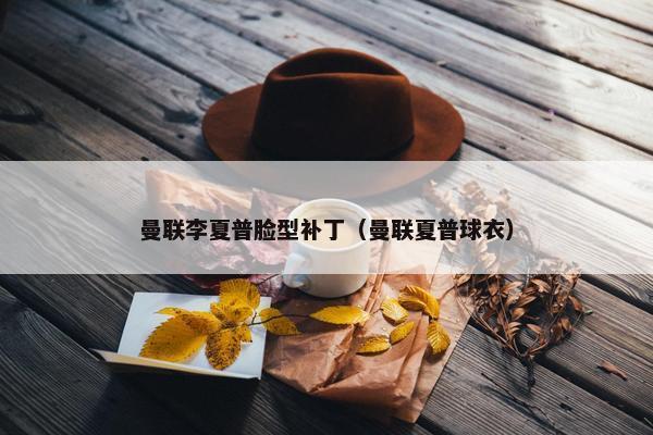 曼联李夏普脸型补丁（曼联夏普球衣）