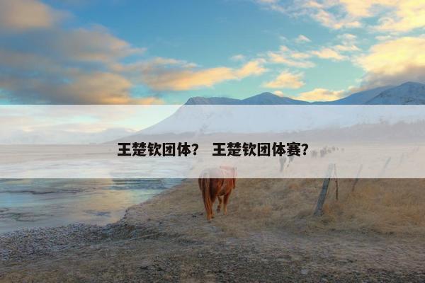 王楚钦团体？ 王楚钦团体赛？