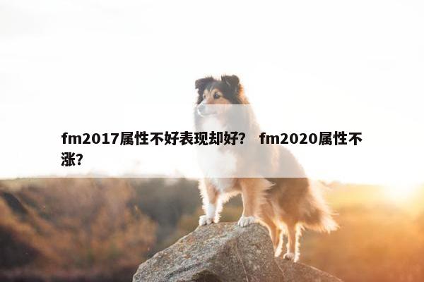 fm2017属性不好表现却好？ fm2020属性不涨？