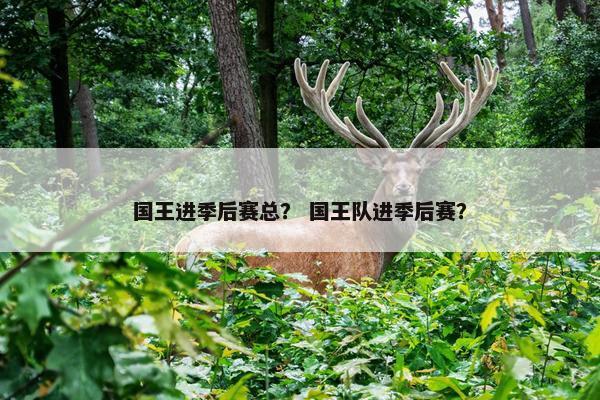国王进季后赛总？ 国王队进季后赛？