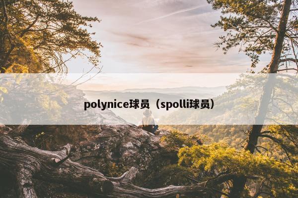polynice球员（spolli球员）