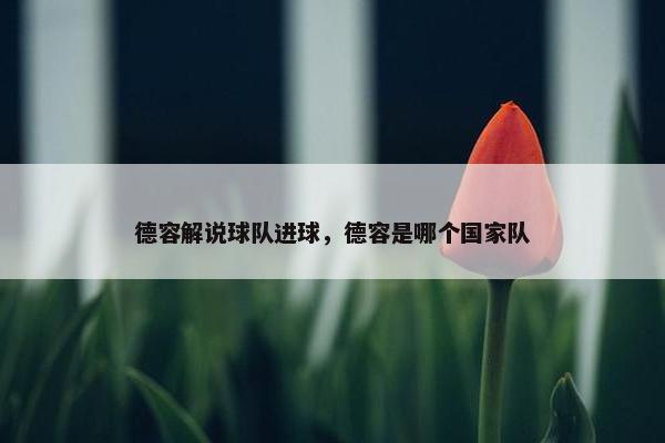 德容解说球队进球，德容是哪个国家队