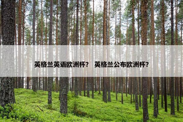 英格兰英语欧洲杯？ 英格兰公布欧洲杯？
