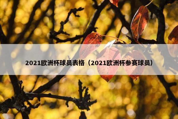 2021欧洲杯球员表格（2021欧洲杯参赛球员）
