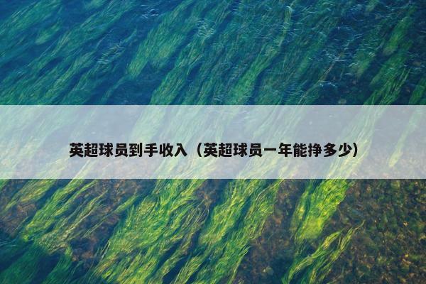 英超球员到手收入（英超球员一年能挣多少）