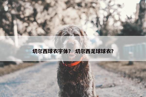 切尔西球衣字体？ 切尔西足球球衣？