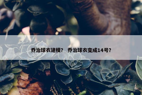乔治球衣建模？ 乔治球衣变成14号？