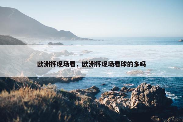 欧洲杯现场看，欧洲杯现场看球的多吗