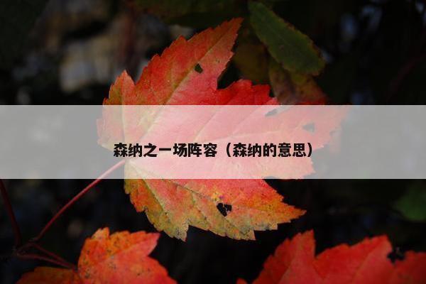 森纳之一场阵容（森纳的意思）