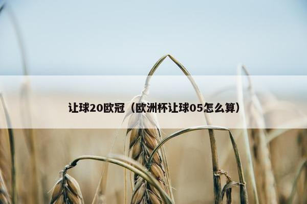 让球20欧冠（欧洲杯让球05怎么算）