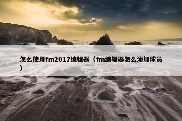 怎么使用fm2017编辑器（fm编辑器怎么添加球员）