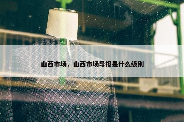 山西市场，山西市场导报是什么级别