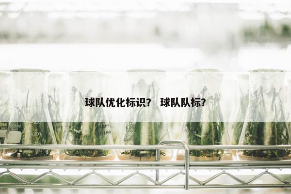 球队优化标识？ 球队队标？