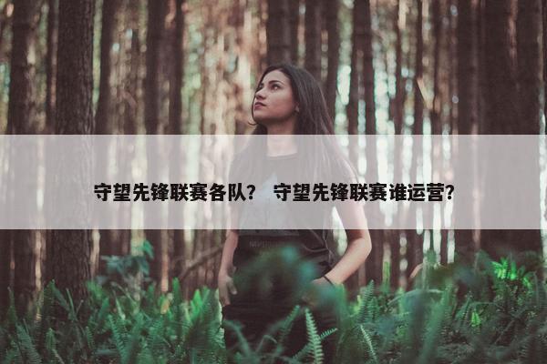 守望先锋联赛各队？ 守望先锋联赛谁运营？