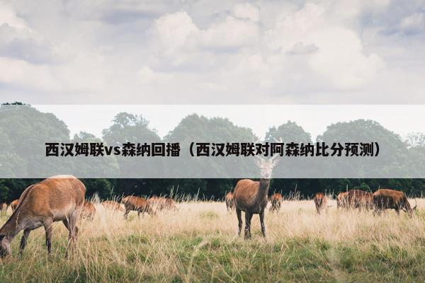 西汉姆联vs森纳回播（西汉姆联对阿森纳比分预测）